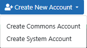 Screenshot cutout of the +Create New Account button